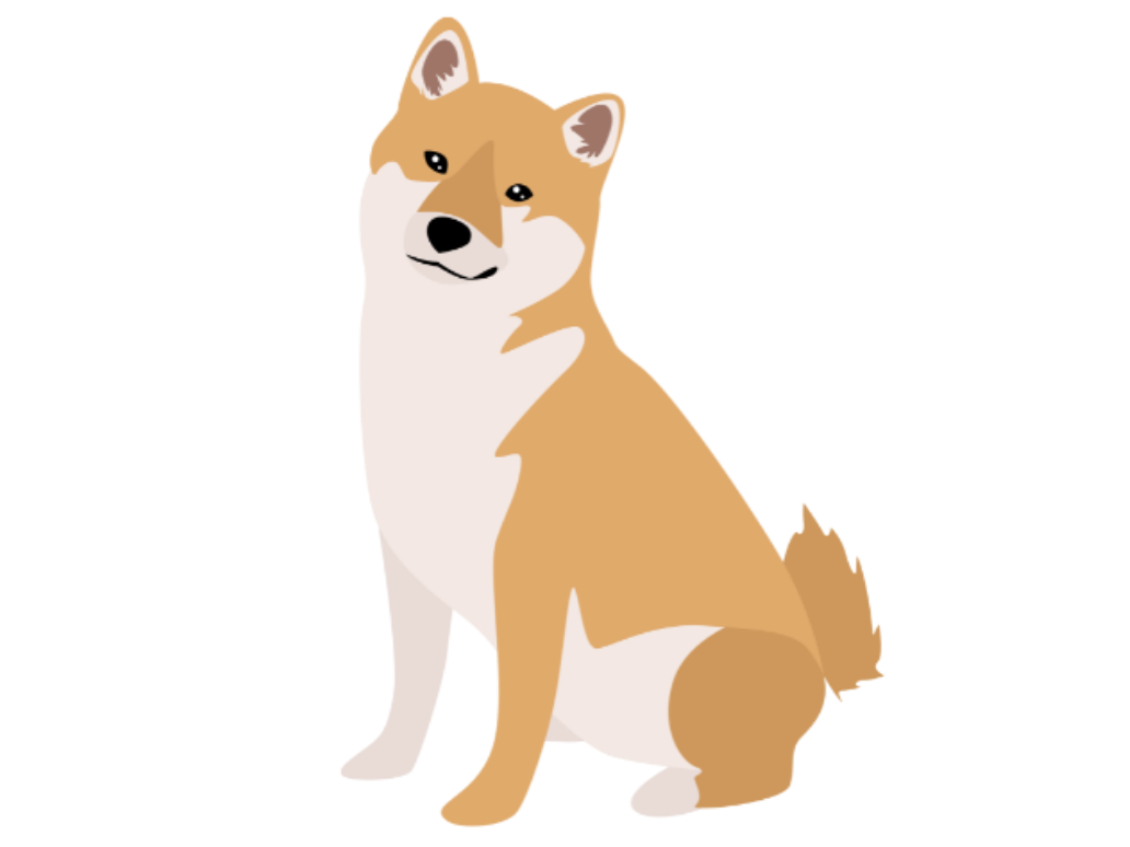 抜け毛が多い柴犬をケアしていつでもふかふか