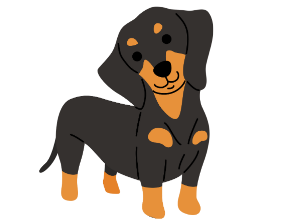ミックス犬に適した似合わせカットをご提案