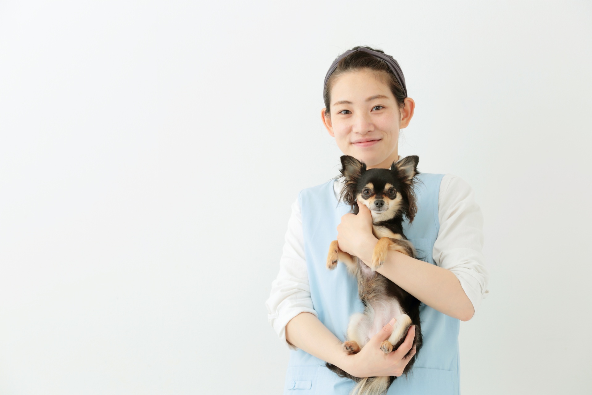 ホテルとしても機能 | 大阪府河内長野のトリミングならDOG Salon TARTE〜タルト〜