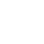 厳選